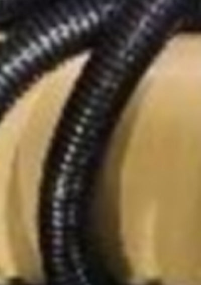 0.74193100 177265836997276550