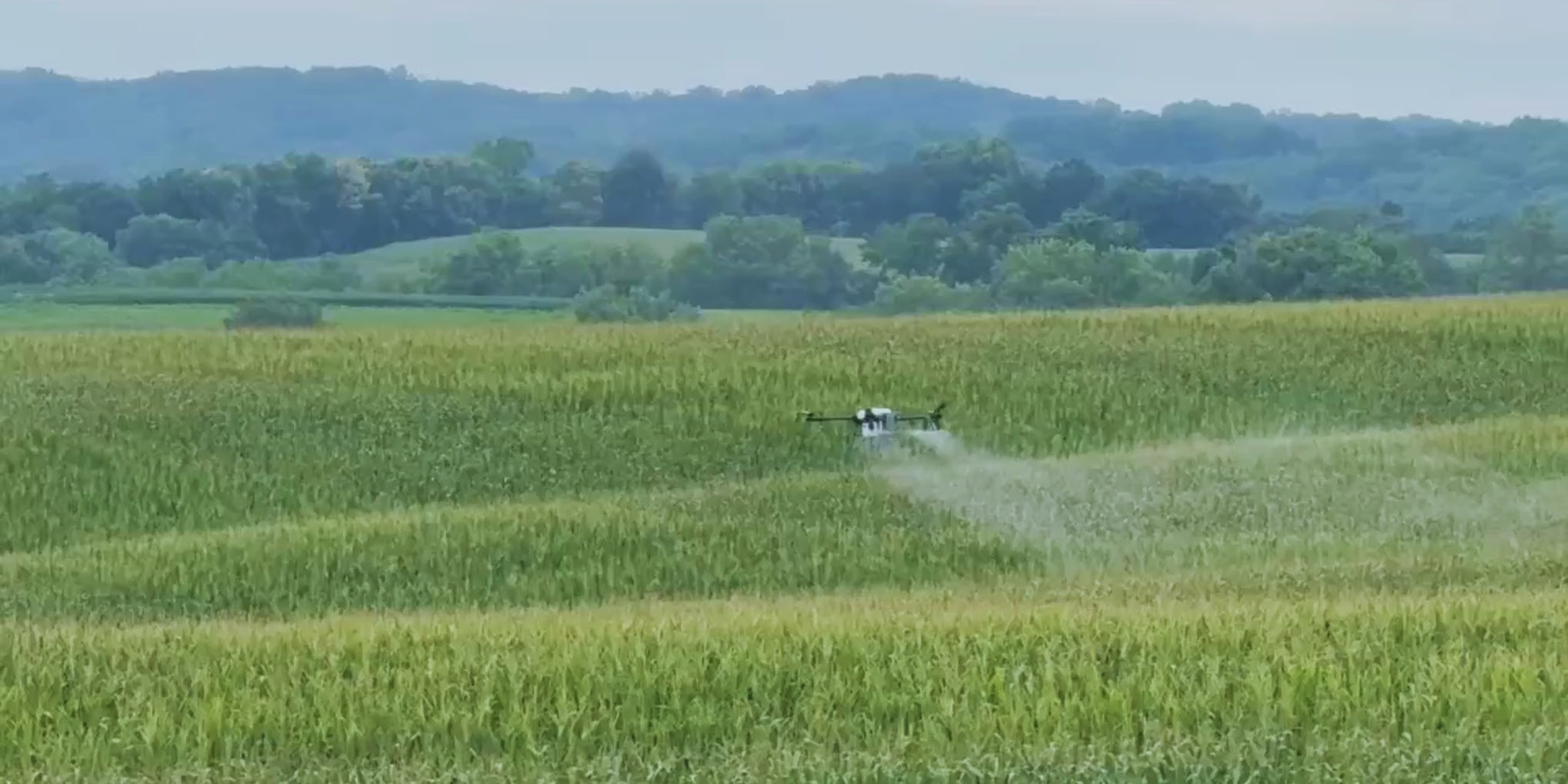 Load video: J150 drone tackles hilly terrain during corn fungicide season with ease